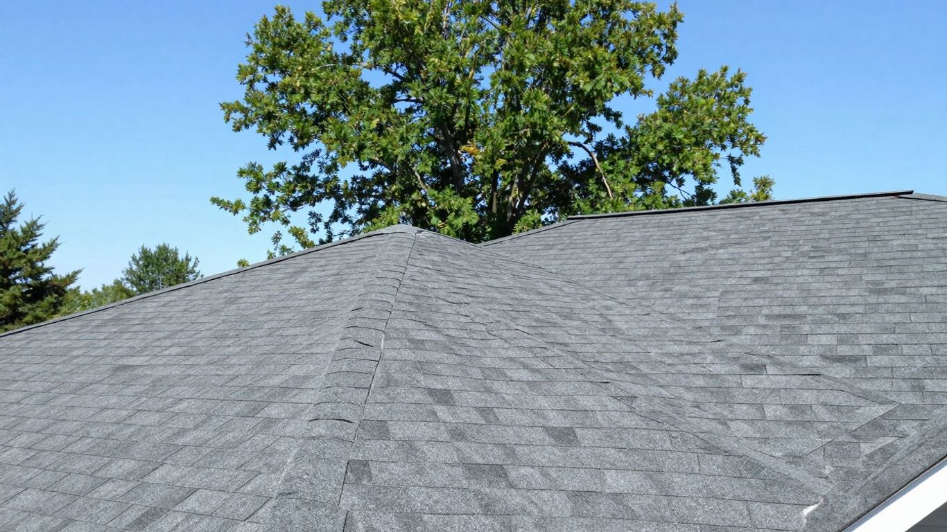 Mississauga Building Permit