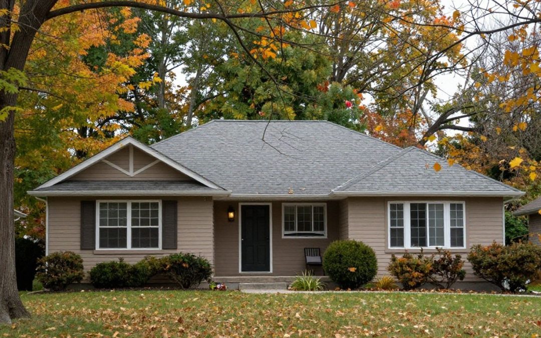 Overhanging Trees and Your Mississauga Roof: When to Worry and What to Do