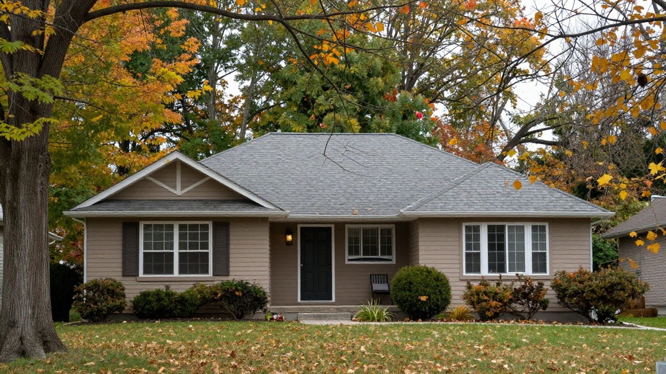 Overhanging Trees and Your Mississauga Roof When to Worry and What to Do